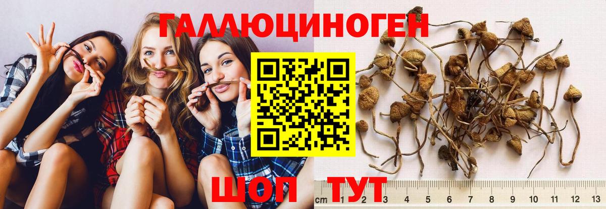 Кореновск  что такое   Вход с VPN  Галлюциногенные грибы ЛСД 