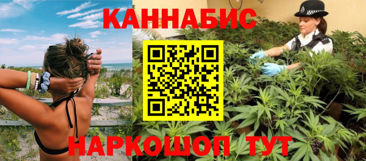 Конопля White Widow  Шишки марихуана конопля  Бошки марихуана планчик  МАРИХУАНА планчик  Вход с VPN  Кореновск 